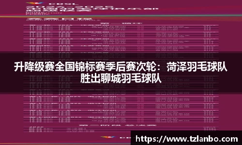 升降级赛全国锦标赛季后赛次轮：菏泽羽毛球队胜出聊城羽毛球队
