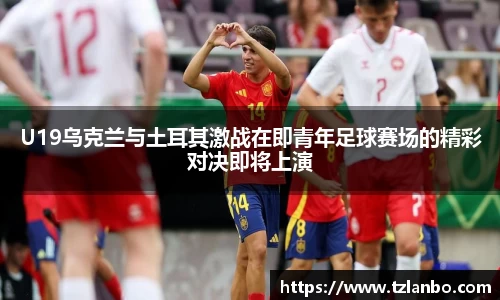 bifa·必发